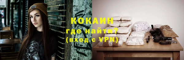 PSILOCYBIN Лагань