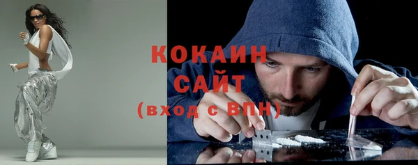 сатива Лабытнанги