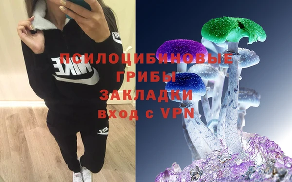PSILOCYBIN Бронницы