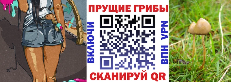 Псилоцибиновые грибы Magic Shrooms  Вичуга 
