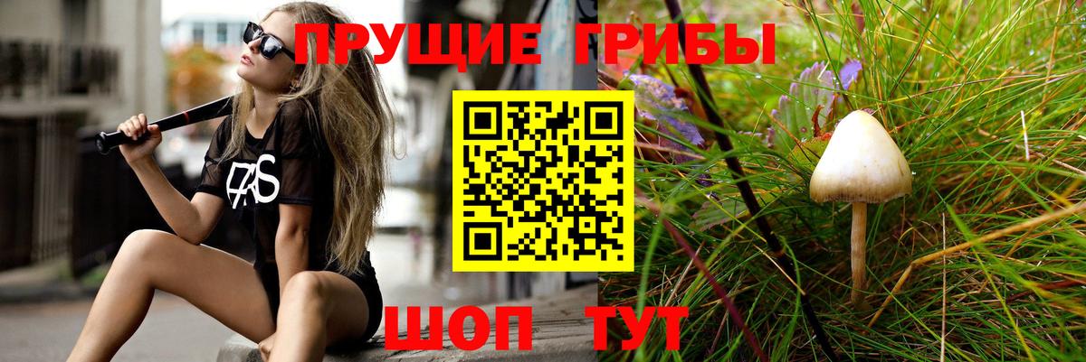 Вичуга  Псилоцибиновые грибы мухоморы  Галлюциногенные грибы GOLDEN TEACHER  Вход с VPN 