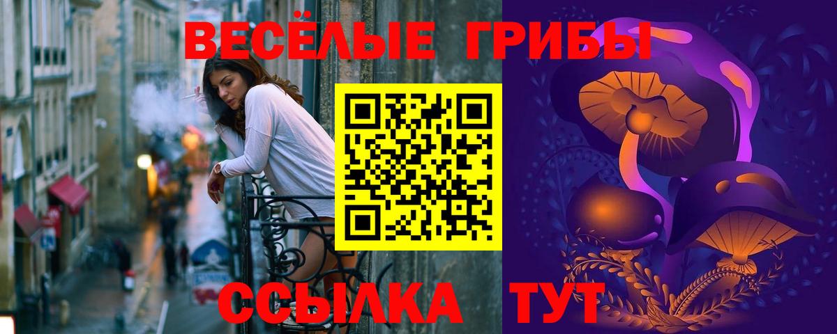 Галлюциногенные грибы GOLDEN TEACHER  Вичуга 