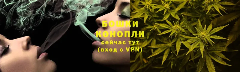 Бошки марихуана SATIVA & INDICA  Вичуга 